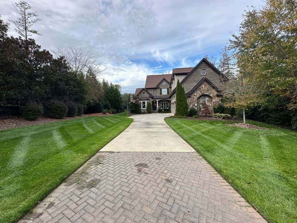 Hero image for PecinaPineNeedles & Lawn Maintenance LLC